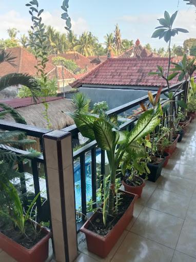 Grace Paradise Guest House Lembongan Exterior photo